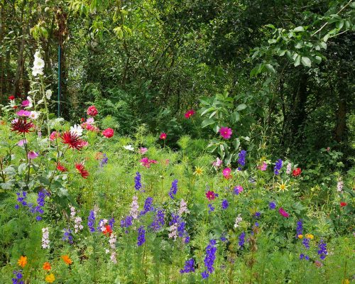 Jardin-gite-fleurs-hotes (1)