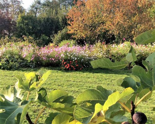 Jardin-gite-fleurs-hotes (3)